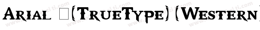Arial 中(TrueType) (Western)字体转换
